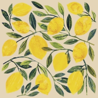 Servietten 33x33 cm - Tracey´s Citronella eco
