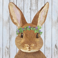 Servilletas 33x33 cm - Vivien