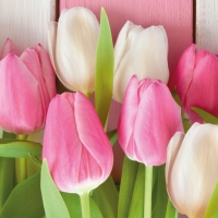 Servietten 33x33 cm - White & Pink Tulips 33x33 cm