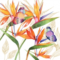 Servietten 33x33 cm - Parrot Flower