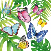 Serviettes 33x33 cm - Tropical Butterflies 33x33 cm
