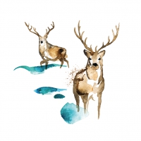 Serviettes 33x33 cm - Deer watercolor 33x33 cm
