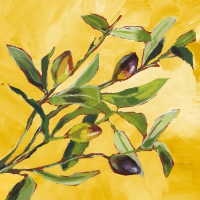 Napkins 33x33 cm - Olive Musée 33x33 cm