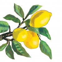 Servietten 33x33 cm - Lemon Musée white 33x33 cm