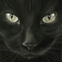Serviettes 33x33 cm - Black Cat Napkin 33x33