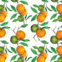 Serviettes 33x33 cm - Beautiful Oranges Napkin 33x33