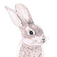 Servietten 33x33 cm - Rabbit Napkin 33x33