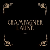 Serwetki 33x33 cm - Champagnerlaune black