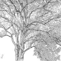Servietten 33x33 cm - Arbre Napkin 33x33