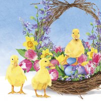 Napkins 33x33 cm - Les Canettes