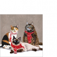 Serviettes 25x25 cm - Scarf Cats