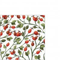 Napkins 25x25 cm - Rosehips