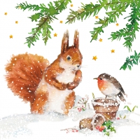 餐巾25x25厘米 - Squirrel & Robin Napkin 25x25