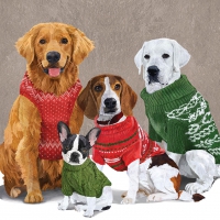 Serwetki 33x33 cm - Sweater Dogs Napkin 33x33