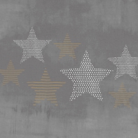 餐巾33x33厘米 - Pure Starlight anthracite Napkin