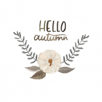 餐巾33x33厘米 - Hello autumn Napkin