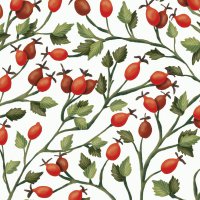 Napkins 33x33 cm - Rosehips Napkin
