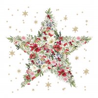 Serviettes 33x33 cm - Beautiful Christmas Star Napkin