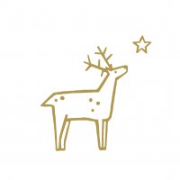 Serviettes 33x33 cm - Wishing on a Star Napkin