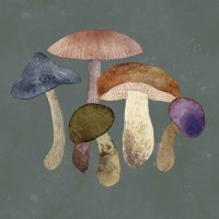 Napkins 33x33 cm - Mushroom Fantasy Napkin