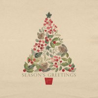 Napkins 33x33 cm - Merry Greetings white eco