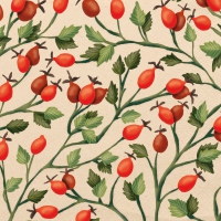 Napkins 33x33 cm - Rosehips eco