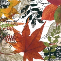Serviettes 33x33 cm - Autumn Collage 33x33 cm