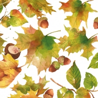 Servilletas 33x33 cm - Autumn 33x33 cm