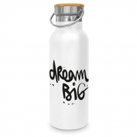 不锈钢饮水瓶 - Dream Big