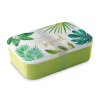 竹饭盒 - Lunch Box Jungle
