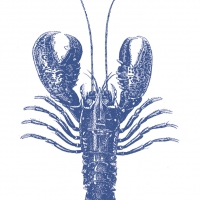 餐巾33x33厘米 - Lobster marine 33x33cm