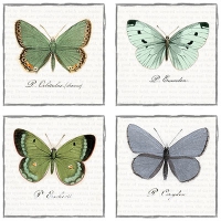 Napkins 33x33 cm - Big Butterflies