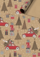 Gift wrapping paper - Xander
