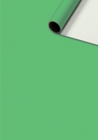 Papier cadeau - Uni Plain grün