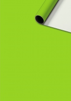 Geschenkpapier - Uni Plain hellgrün