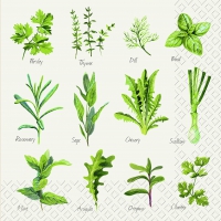 Салфетки 33x33 см - Herb