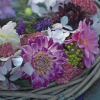 Servilletas 24x24 cm - Flores Purpura en Guirnalda