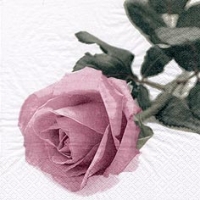Servietten 24x24 cm - Rosa Nobile Vintage rosé