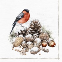 餐巾33x33厘米 - Bullfinch & Cones