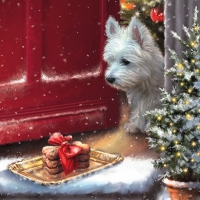 Napkins 33x33 cm - Delicious Westie Treats