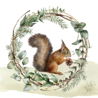 Napkins 33x33 cm - Orava Kartiolla