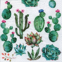 餐巾33x33厘米 - Cactus & Succulents