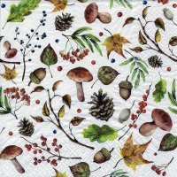 Салфетки 33x33 см - Autumn Forest white