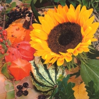 Servietten 33x33 cm - Sunflower Bloom