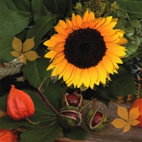 Салфетки 33x33 см - Castagne e Girasole