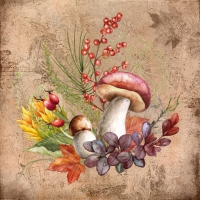 餐巾33x33厘米 - Joyeuse Composition dAutomne