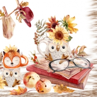 Serviettes 33x33 cm - Owl & Fox