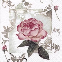 Napkins 33x33 cm - Enchanting Rose Vintage rosé