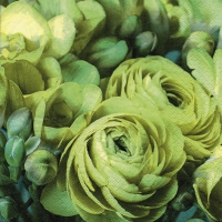 Serviettes 33x33 cm - Freesia & Persian Buttercup green