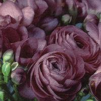 Tovaglioli 33x33 cm - Freesia & Persian Buttercup burgundy